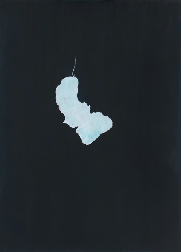 Victor Alimpiev, Озеро согласия | Lake of consent , 2022