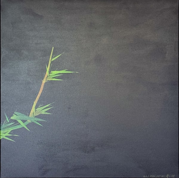 Shan Fan, Bambus im Portrait bei Nacht: 55 Stunden. 28 Minuten. 48 Sekunden, 2025