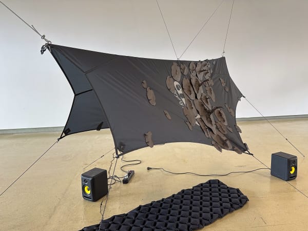 Sarah Doerfel, Where I end and You begin, 2023