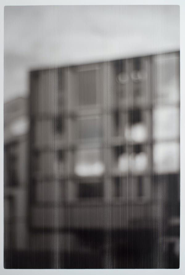 Sinta Werner, Passages Marginales (Mongolische Botschaft), 2020