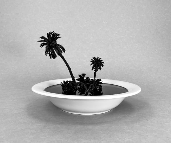 Naho Kawabe, Swamp #1, 2024