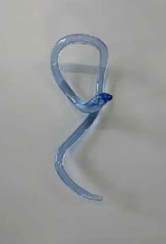 Hannah Bohnen, Line 7, 2025