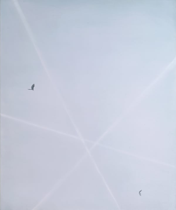 Miwa Ogasawara, Sky 4, 2024