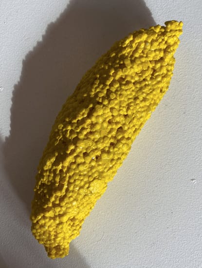 Vincent Vandaele, ohne titel, 2021