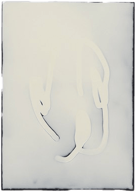 Hannah Bohnen, Freihand / Freehand, 2024