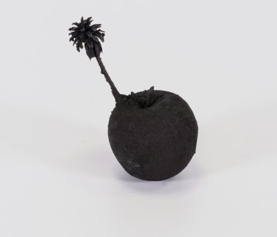 Naho Kawabe, Apple, 2022