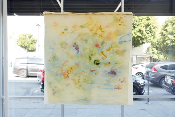 Agnes Waruguru, Kanyoni (bird), 2024