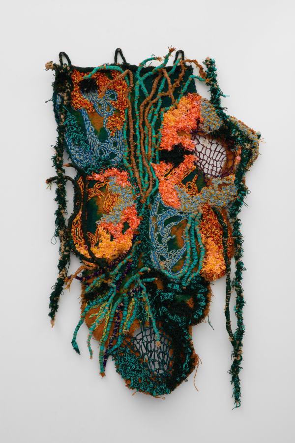 Fiker Solomon - Web of Life 10, 2023