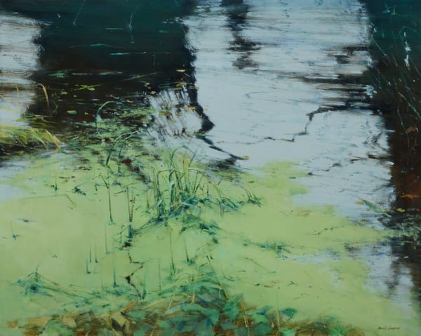 James English RHA, Marginal Plants, Annaghmakerrig Lough