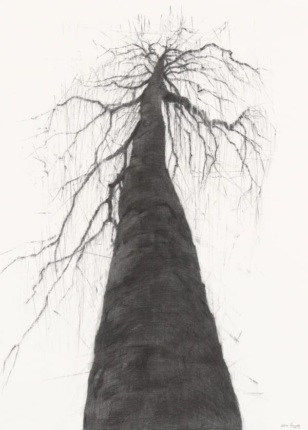 Lelia Henry Bé Chuille, 2024