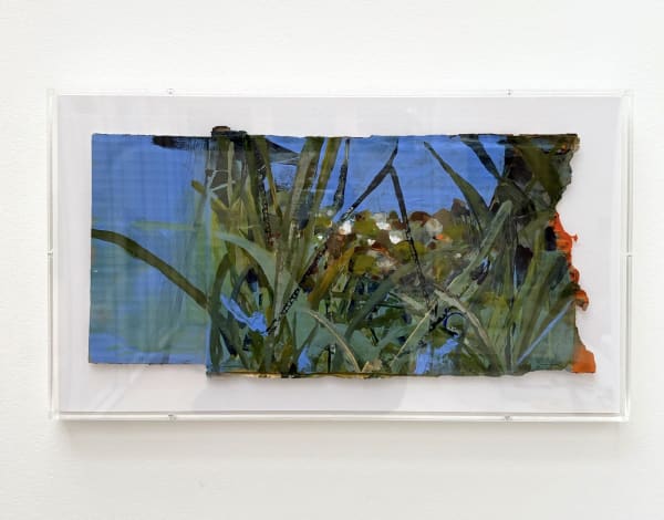 Linda McCann, Plant Pond