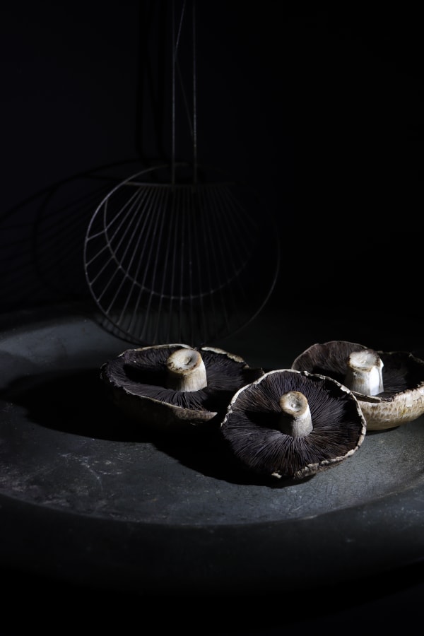 Sharon Belton, Three Mushrooms