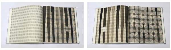 Sioban Piercy, Drawing Breath (Book One)