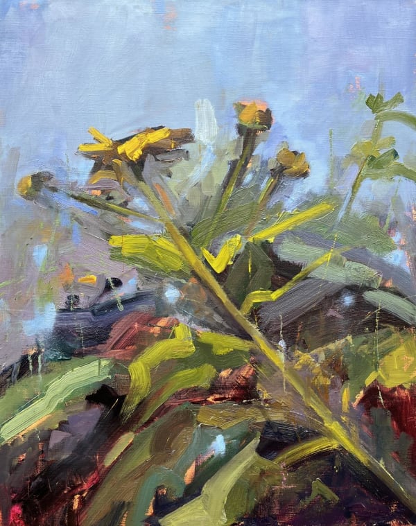 Nóilín Shaw, Sunflowers