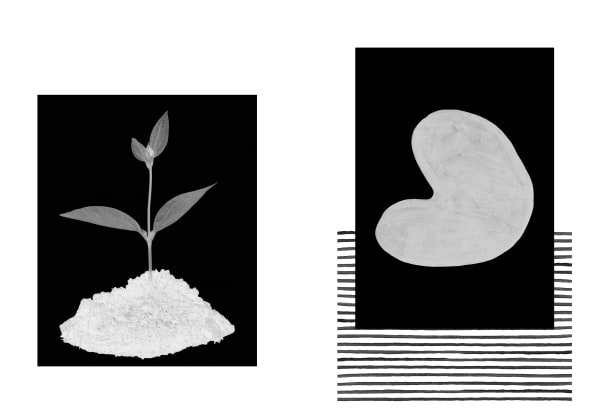 Eimearjean McCormack Survey Series VII (1), 2025