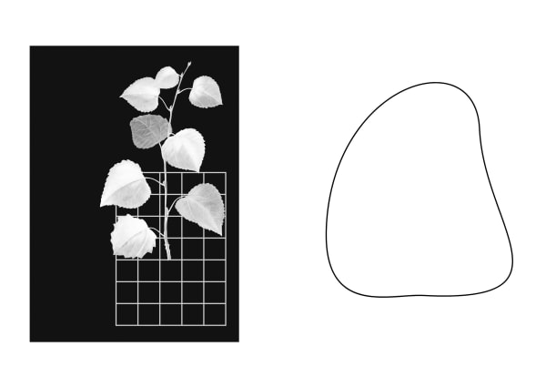 Eimearjean McCormack Survey Series VII (29), 2025