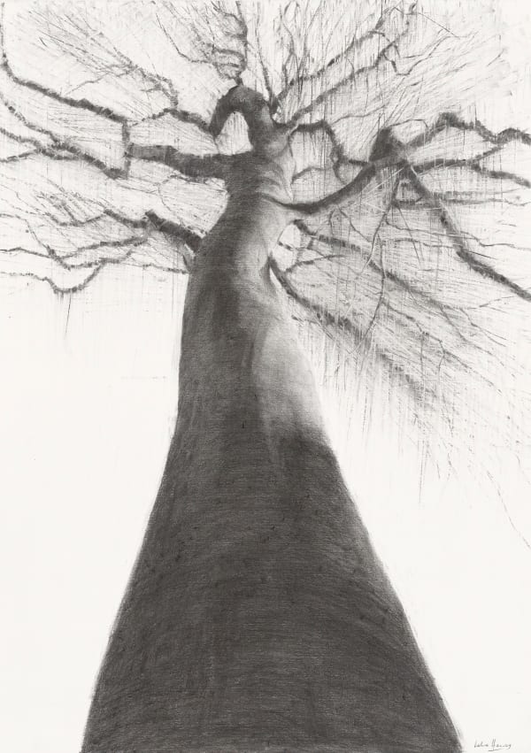 Lelia Henry Tlachtga, 2024