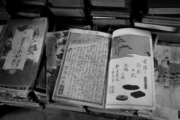 Amelia Stein RHA, LEAVES IV Kyoto Bookshop (open book)