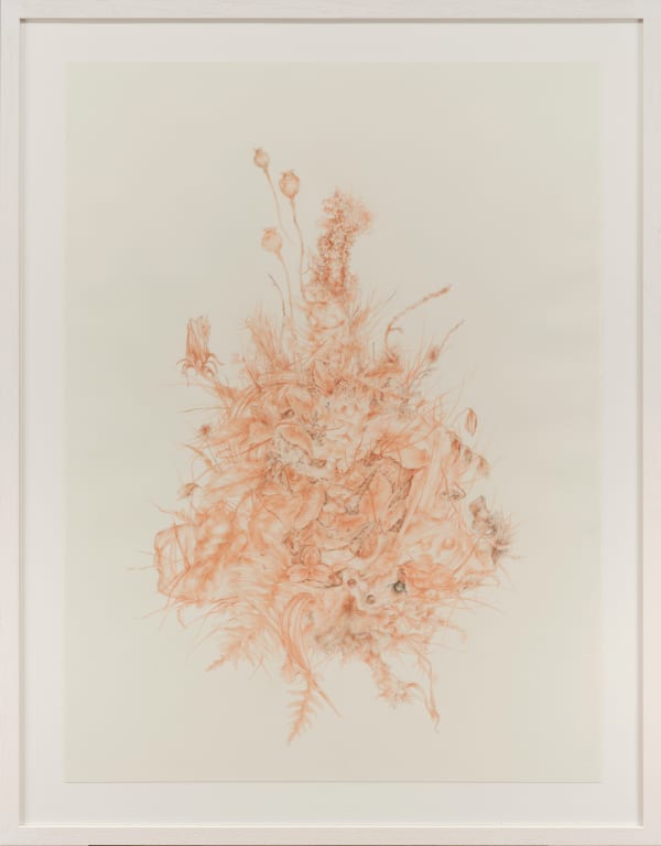 Ida Mitrani, Nature Morte