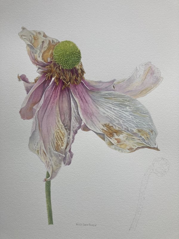 Nicola Lynch Morrin, Pirouette