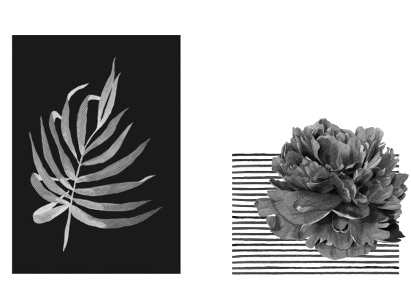 Eimearjean McCormack Survey Series VII (54), 2025