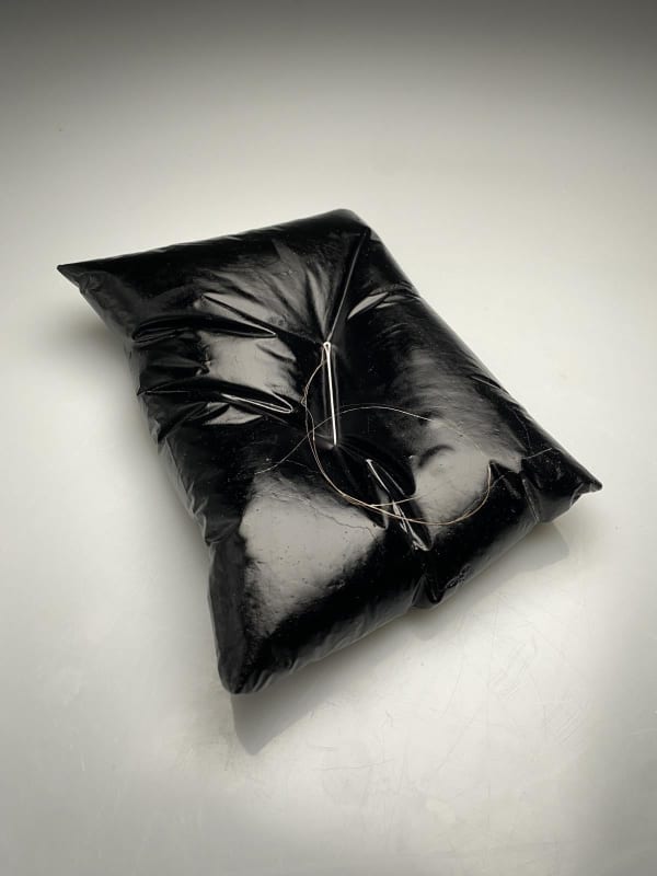 Áine Ryan, She Rests