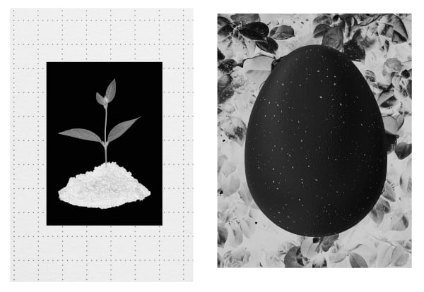 Eimearjean McCormack Survey Series VII (34), 2025