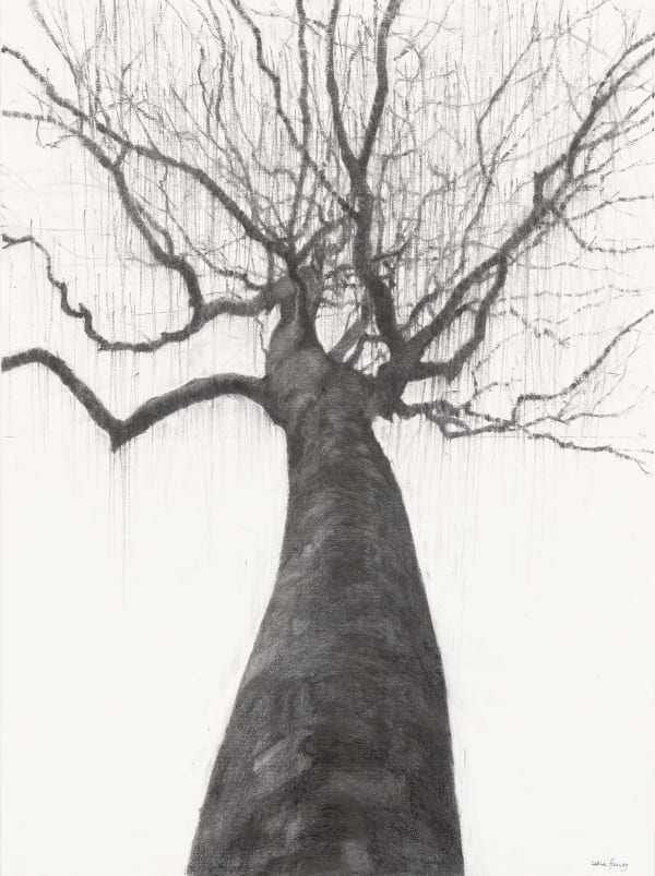 Lelia Henry Clíodhna, 2024