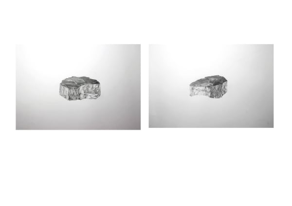 Patricia Farrelly, Petrified Wood I, II