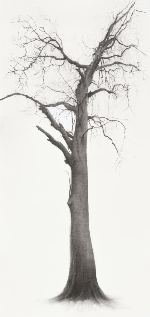 Lelia Henry Sadhbh, 2025