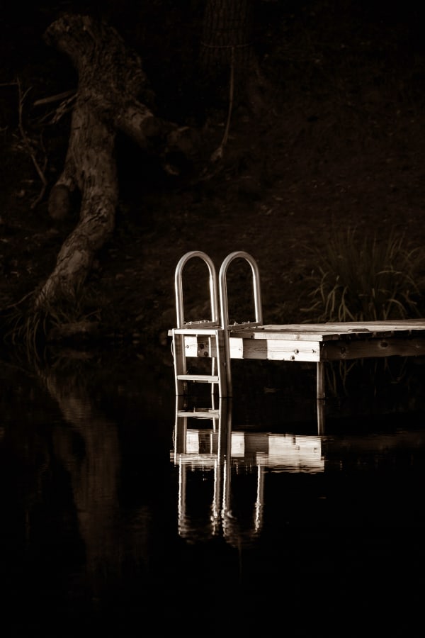 Norman Stevenson, The Days We Found