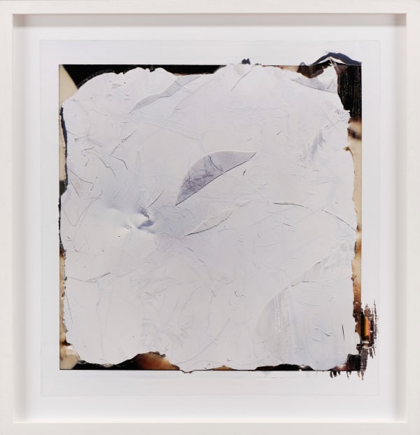 Elaine Byrne ARHA, Erased Warhol