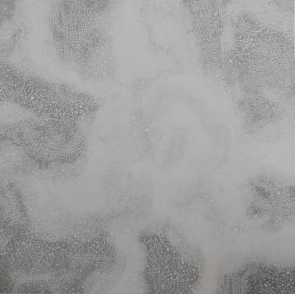 Michael Geddis, Microplastic Shroud II