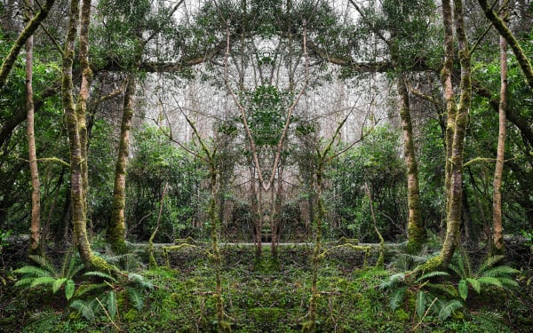Agata Stoinska, Reverberations