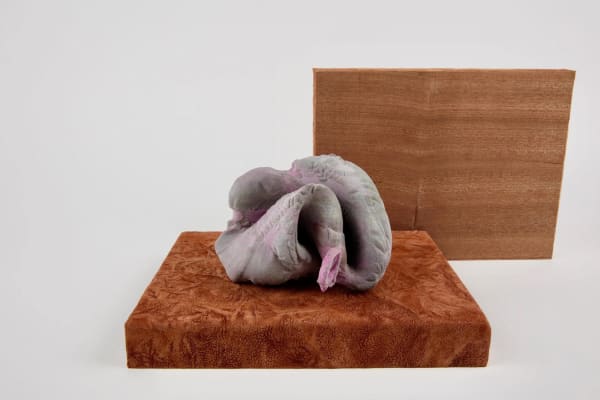 Doireann Gillan, Virtual Mutations