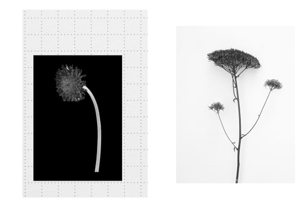 Eimearjean McCormack Survey Series VII (36), 2025