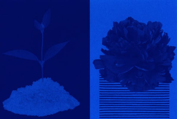 Eimearjean McCormack Survey Series II, 2025