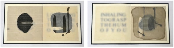 Sioban Piercy, Small Restive Object (Book One)