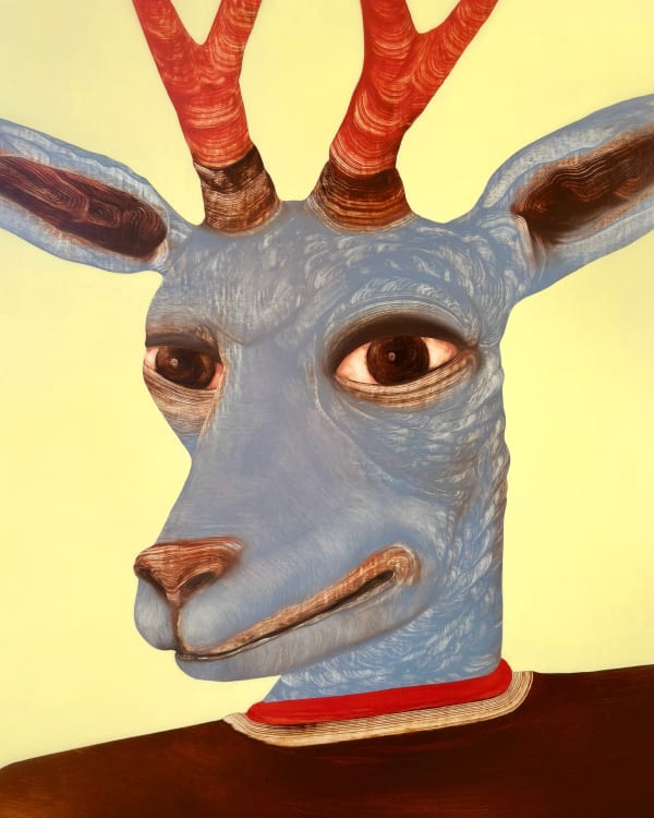 Stewart Swan, Oisin, 2026