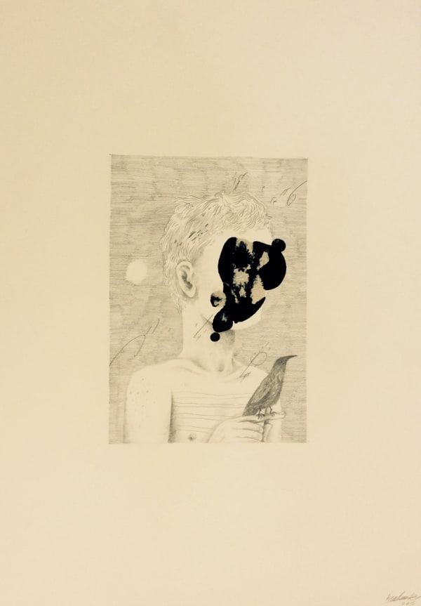 Keaton Henson, Ornithology