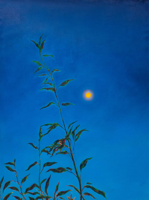 Lukrezia Krämer, Blaue Stunde, 2024