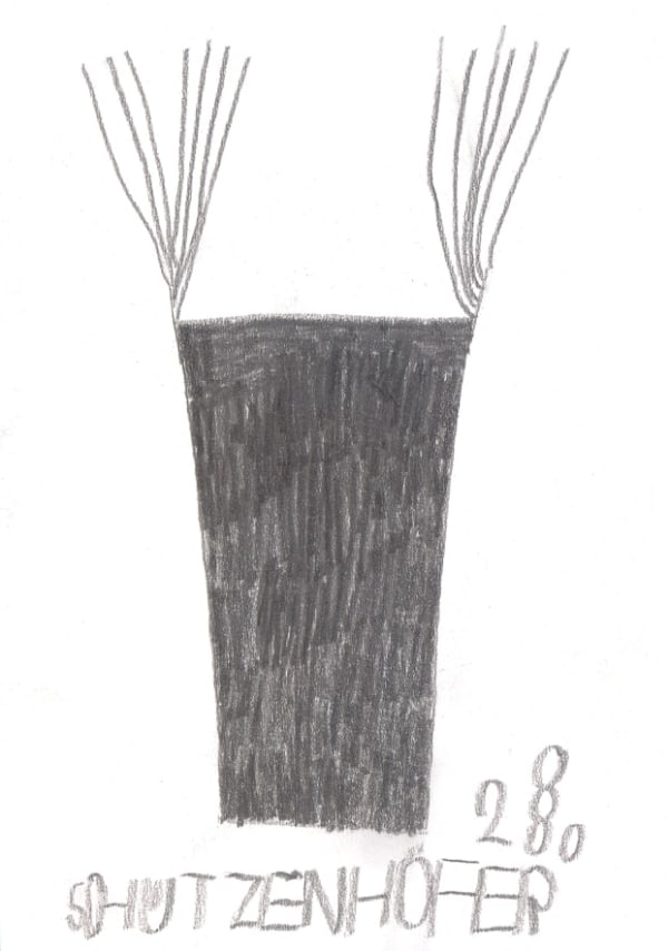 Günther Schützenhöfer, Brush, 2008