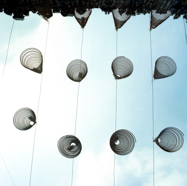 Bastienne Schmidt, Coils, Vietnam, 2004