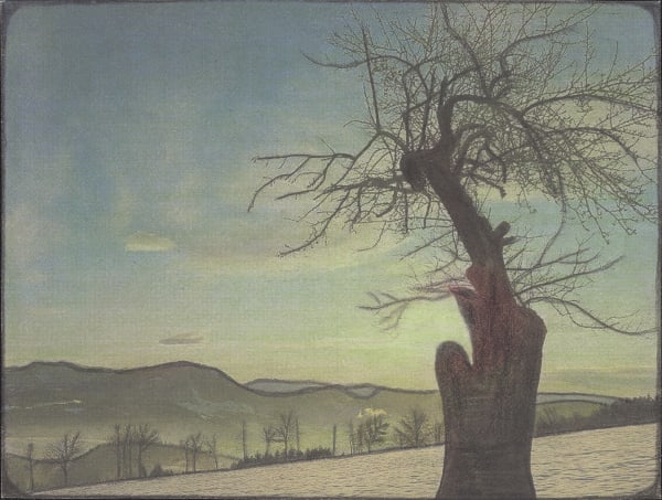 Leopold Strobl, Untitled, 2019