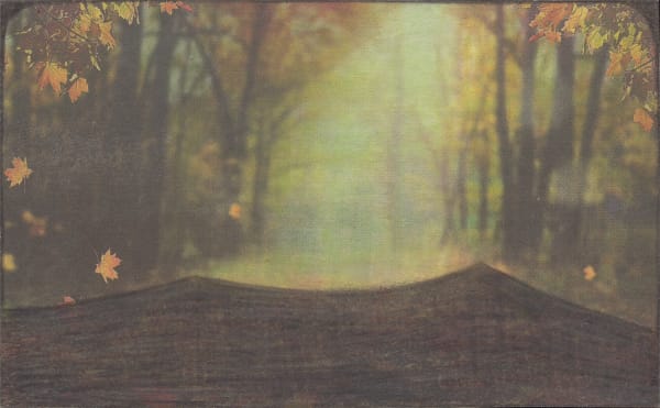 Leopold Strobl, Untitled, 2020