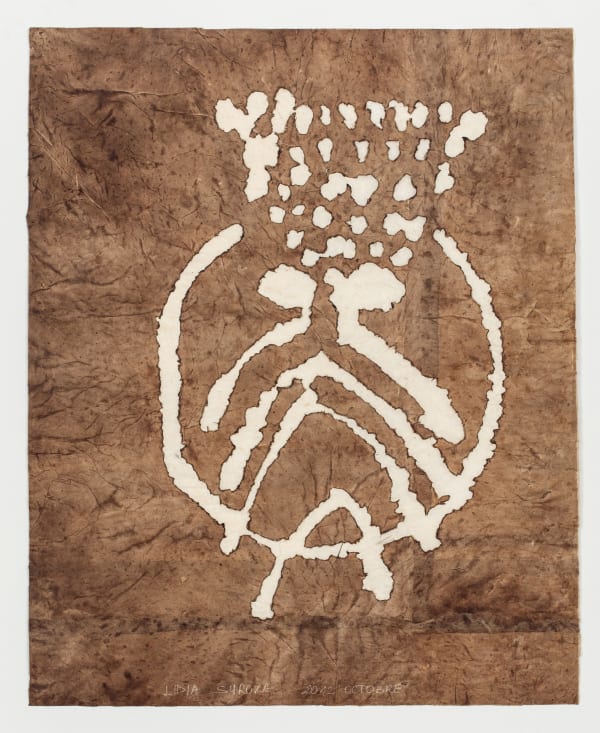 Lidia Syroka, Untitled (Series 5_Water Drawings), 2011