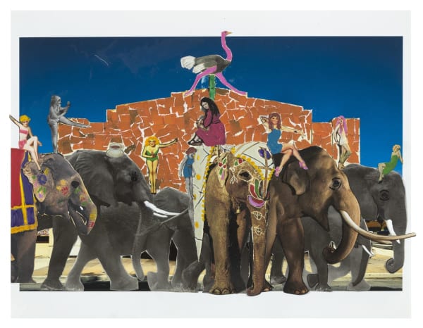 Several elephants with women on top of them. There is an orange tent behind them with a purple ostrich on top of it.