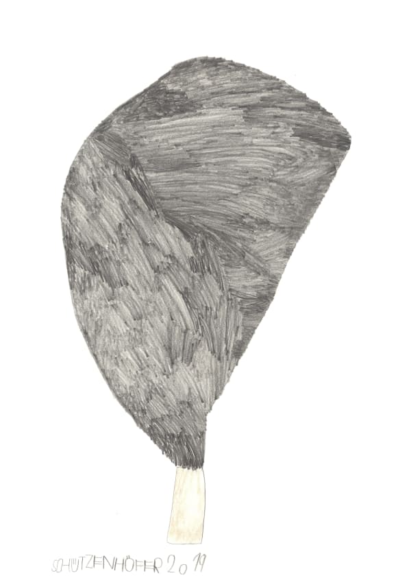 Günther Schützenhöfer, Ice Cream, 2019