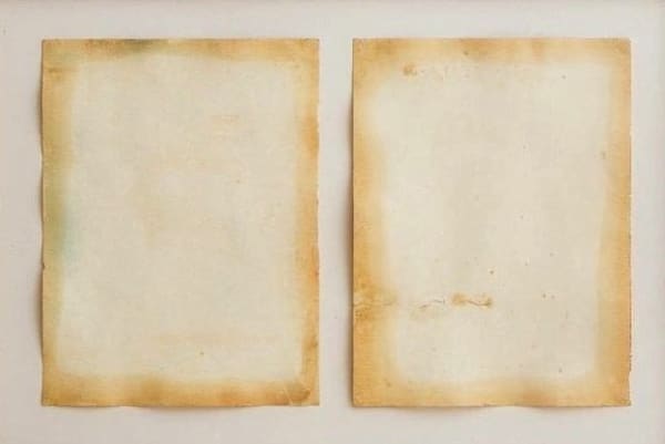 Franz Erhard WALTHER, Diptych