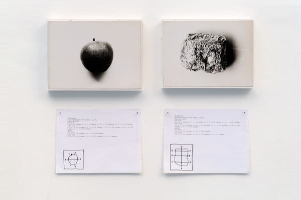 Ed HERRING, Some Dimensions of My Lunch, 1970